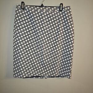 Nwt Jacob Skirt